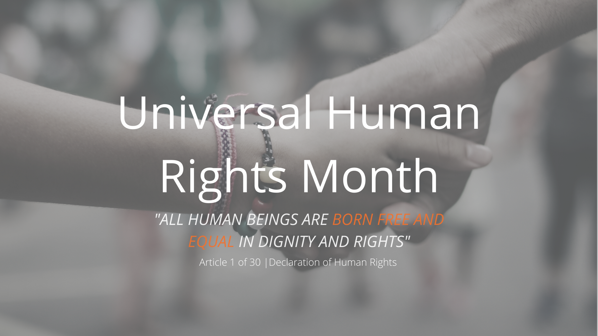 universal-human-rights-month-forrest-solutions